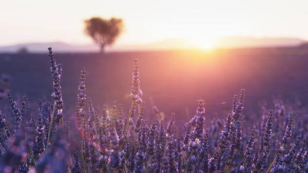 Als Medium, Hellseher oder spiritueller Berater bei SpiritAngels arbeiten